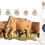 Discover the Nutritional Marvel: A2 Gir Cow Milk