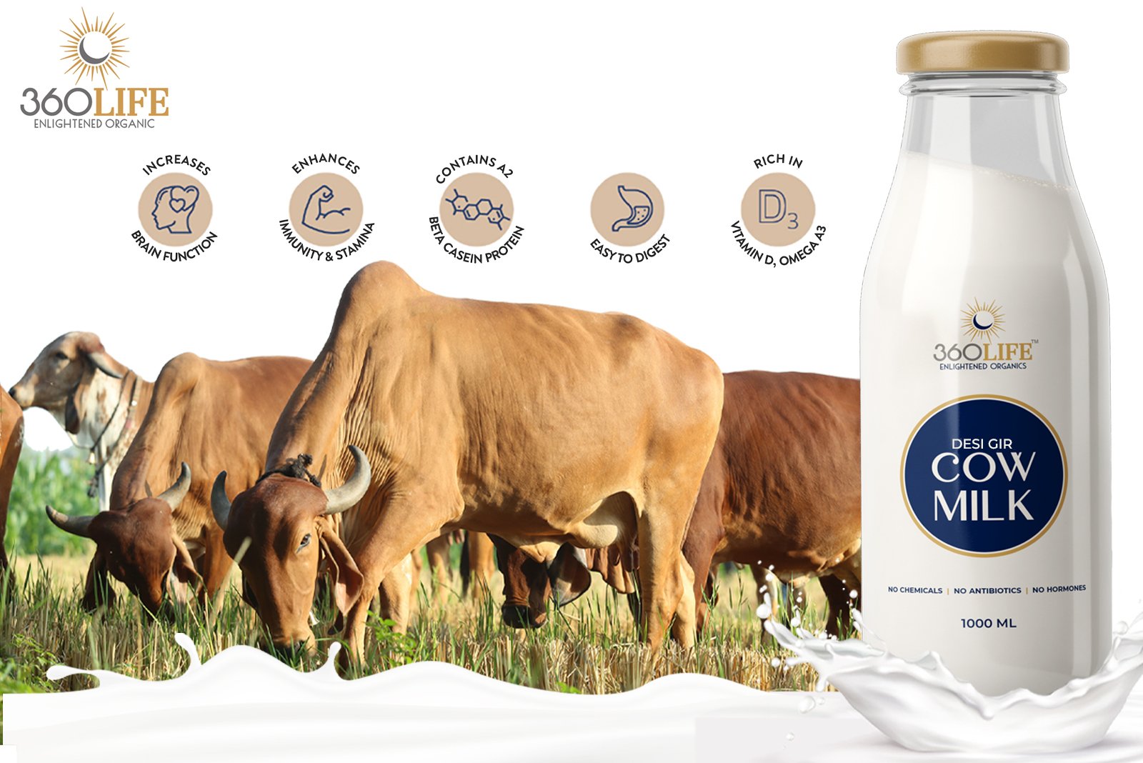 Discover the Nutritional Marvel: A2 Gir Cow Milk