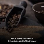 Seasoning Sensation: Diving into the World of Black Pepper