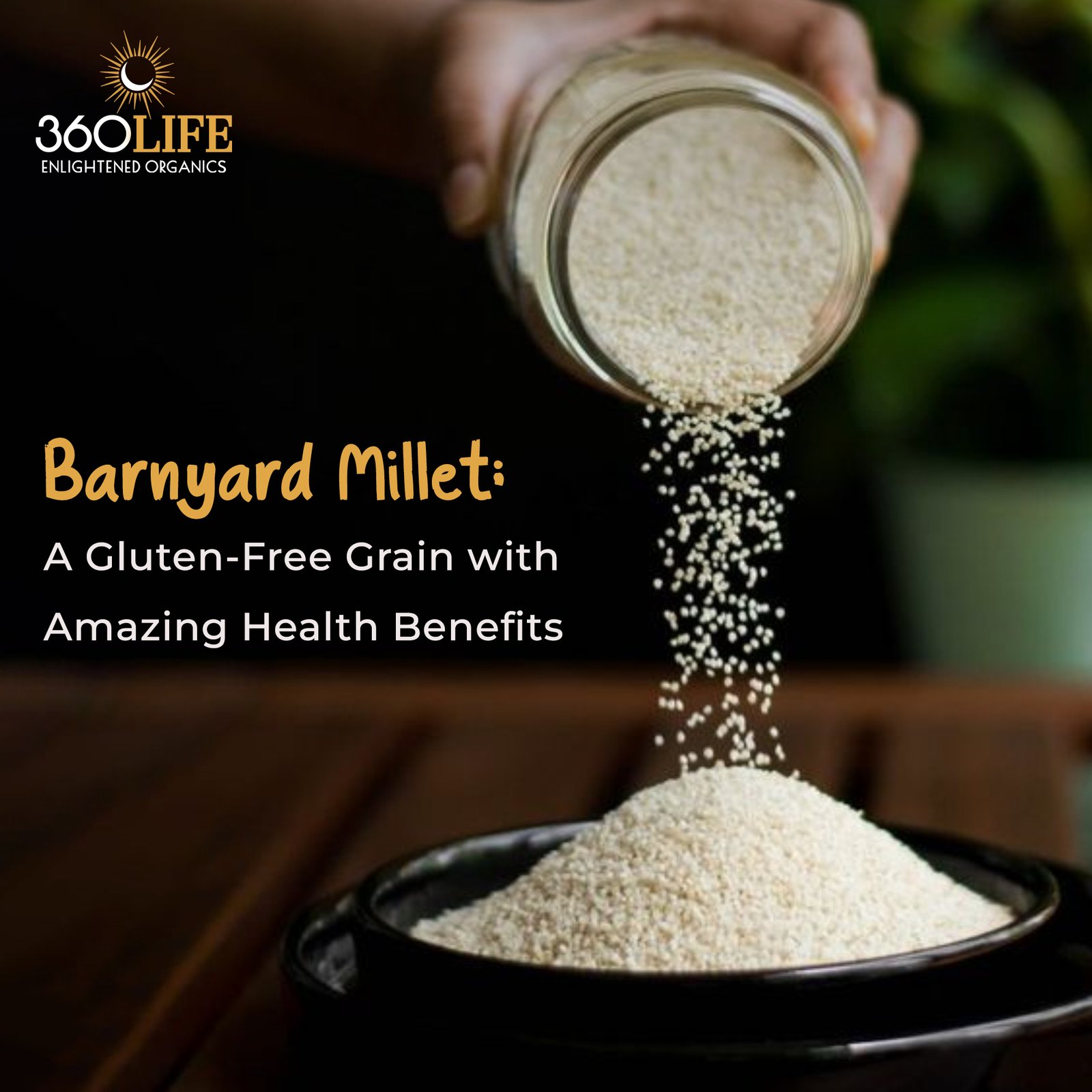 Barnyard Millet: A Gluten-Free Grain with Amazing Health Benefits